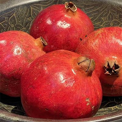 Punica granatum 'Afganski' (Pomegranate)