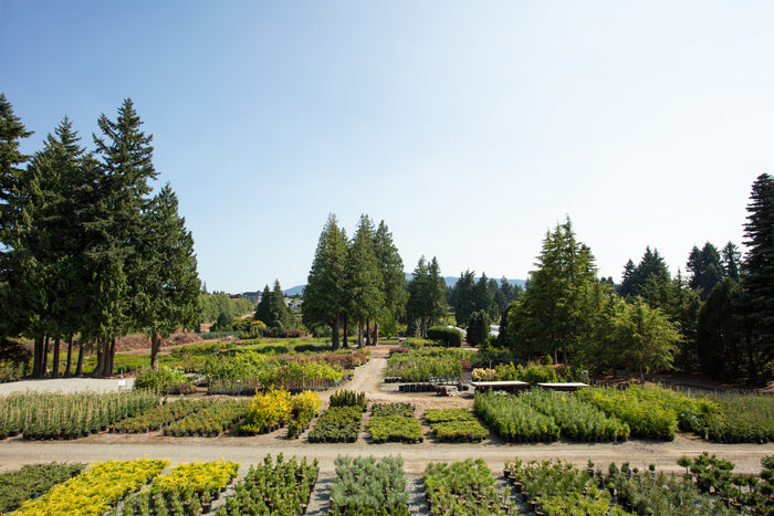 Green Thumb Nurseries Fields